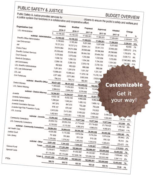 Standard Budget Book content